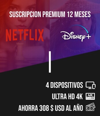 Suscripción Netflix + Disney Plus 1 año