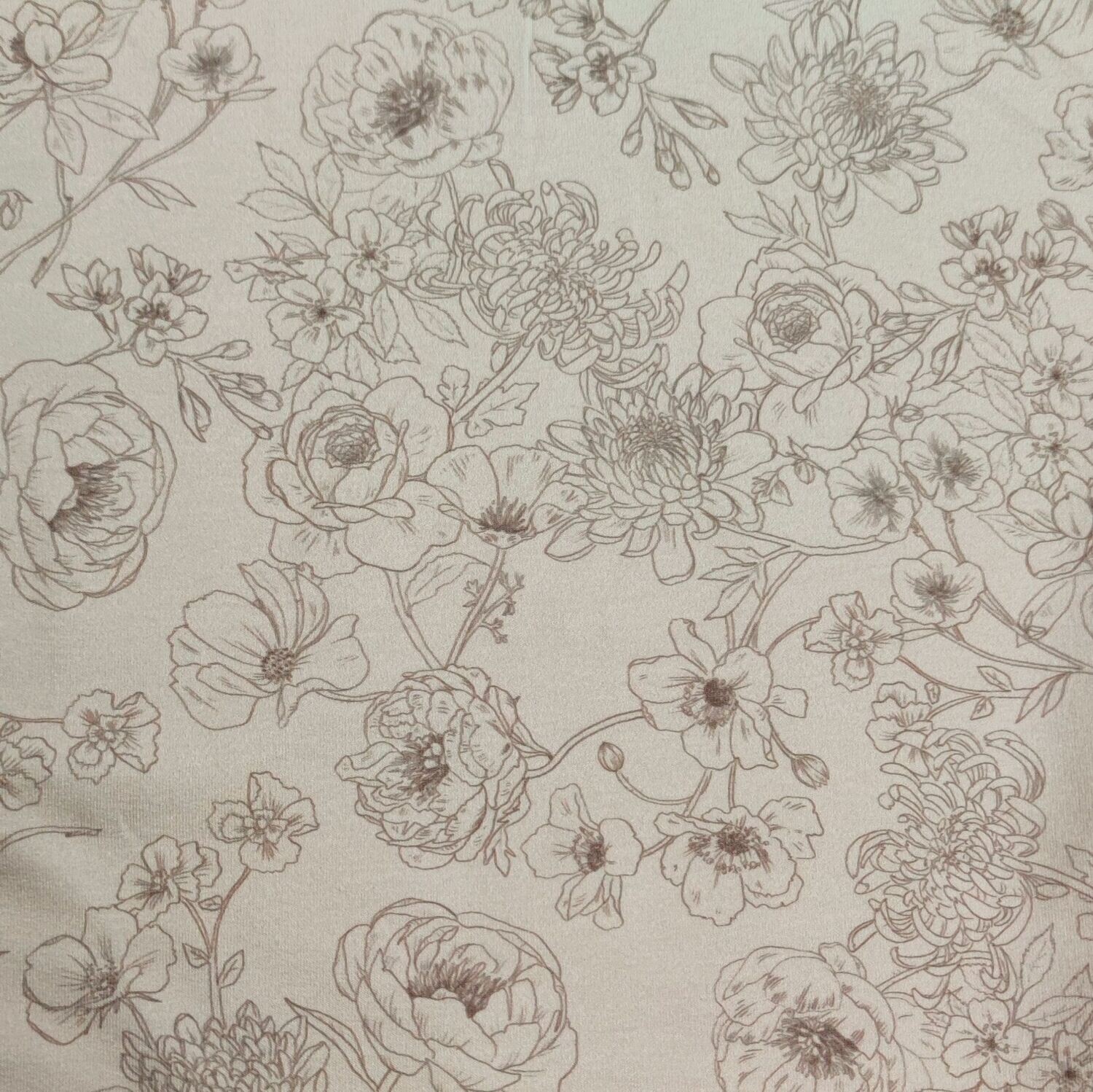 Rock - French Terry Nude Roses