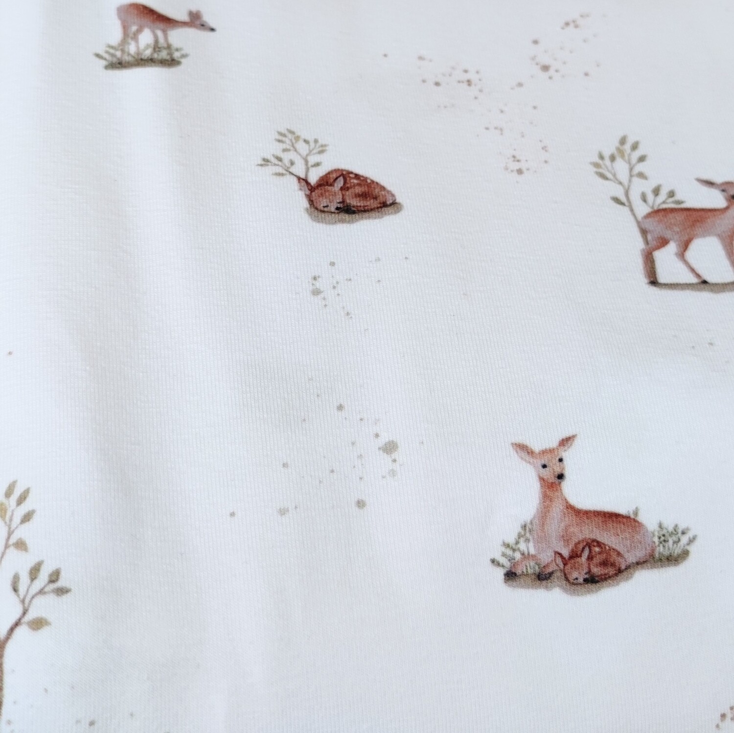 Rock - oh my Deer