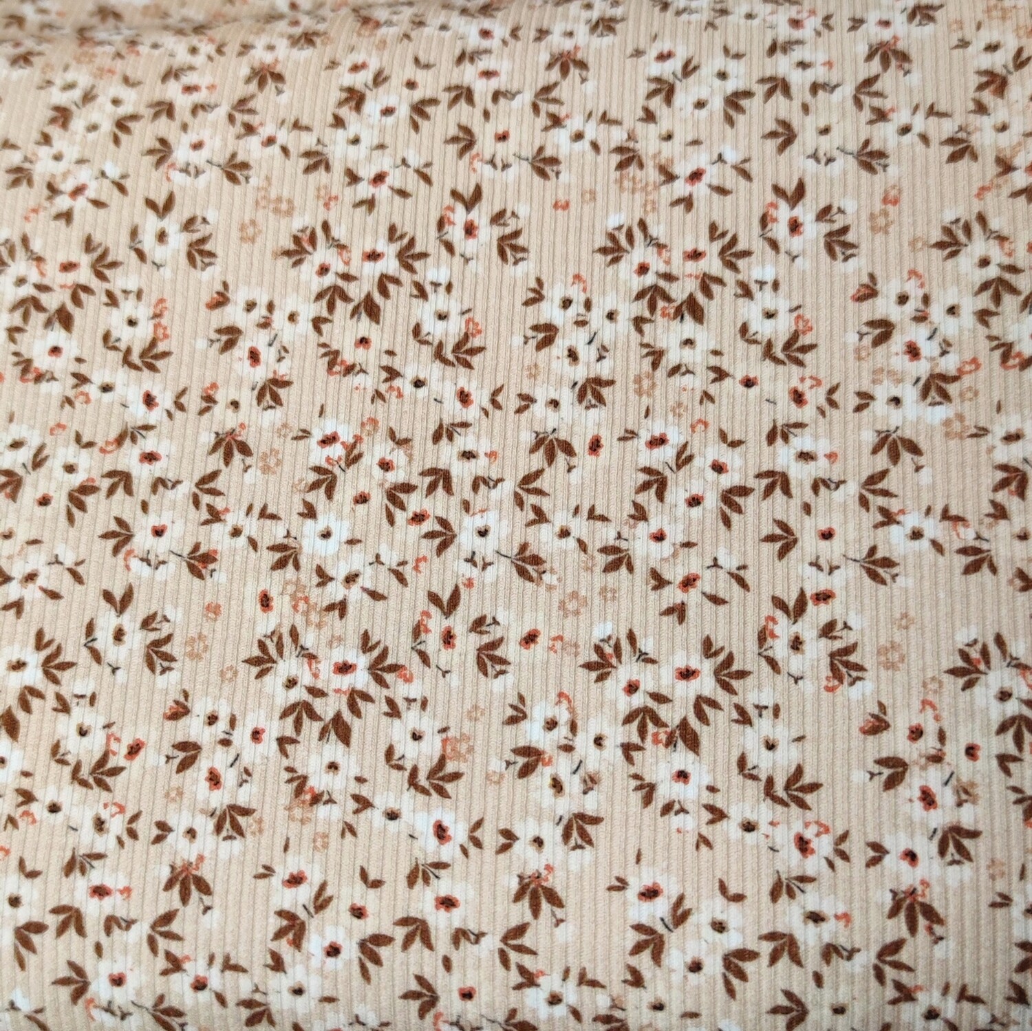 Rib Leggings - Blooming Beige