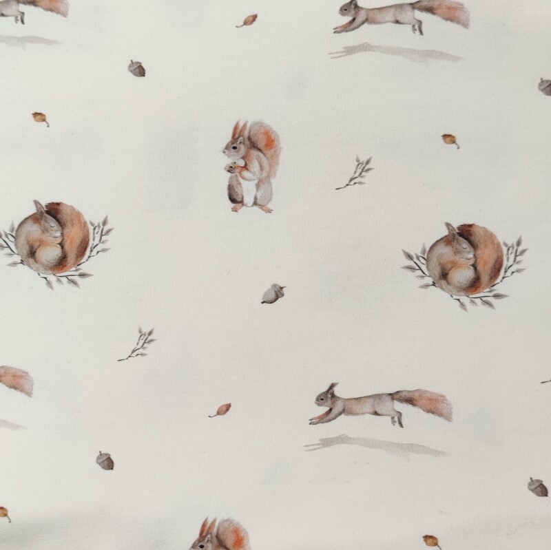 French Terry Pullover mit Volant - kleines Eichhörnchen 