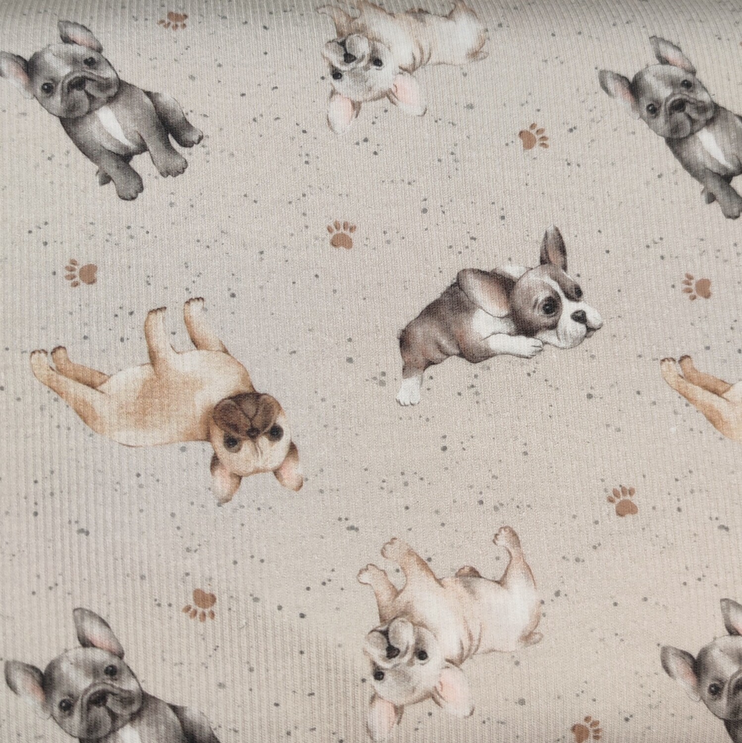 Rib Jersey Pullover - French Bulldog Light Taupe