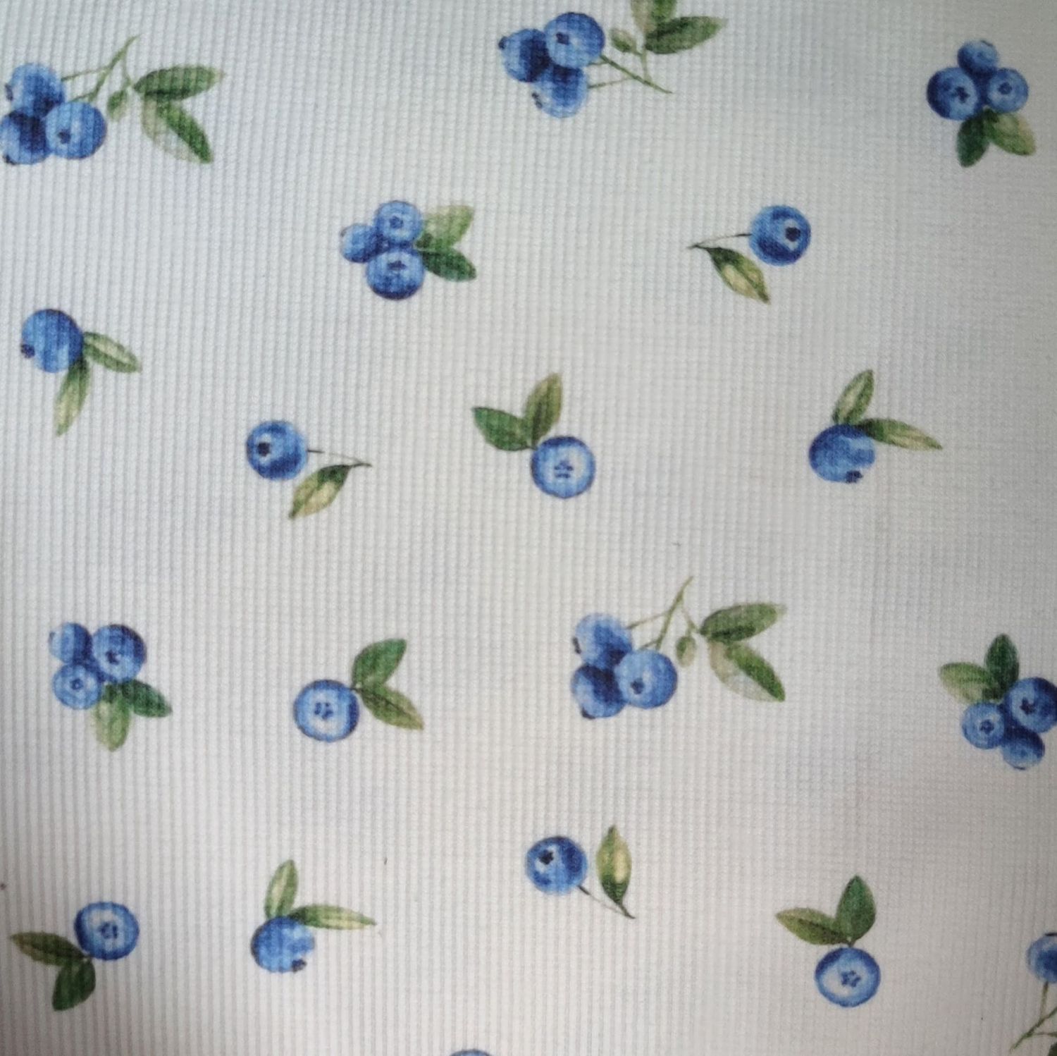 (Stoff) Jersey - Blueberrys