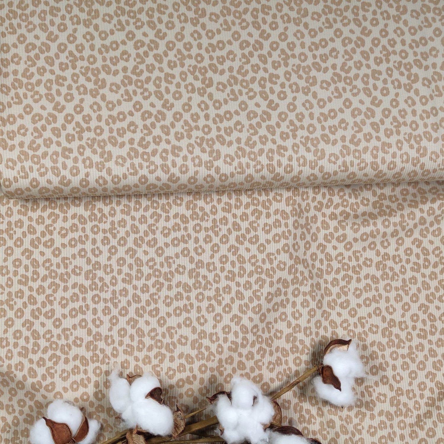 Pants - Rib Jersey Leo Beige 