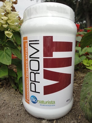 Batido proteico Promivit 400 gramos