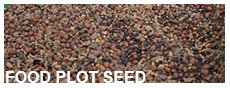 Food Plot Seed