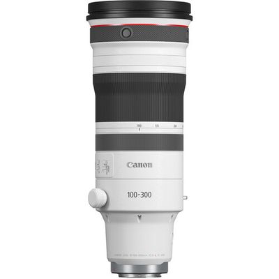 RF 100-300mm f2.8L IS USM