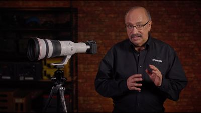 Canon RF 800mm f/5.6 L IS USM Lens