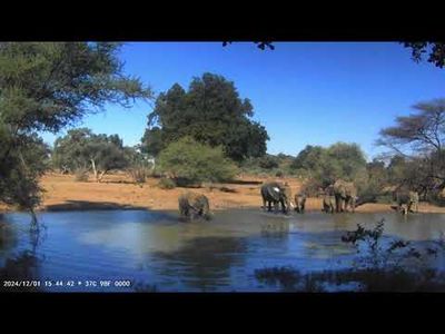 GITDH1 24MP Camera Trap with Stills and Video