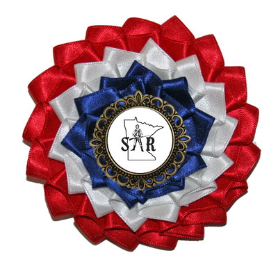 Minnesota SAR Cockade