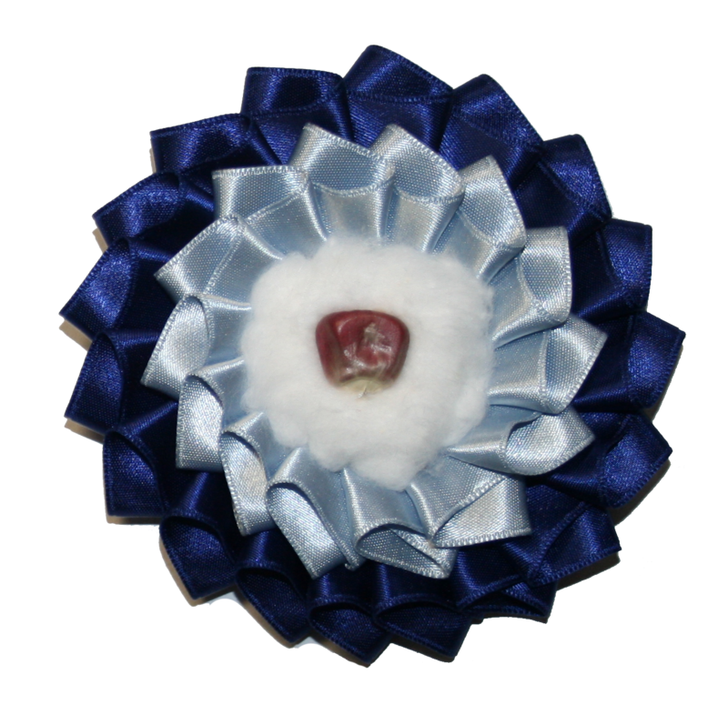 Arkansas Southern Cockade