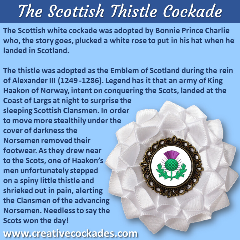 Scottish White Thistle Cockade