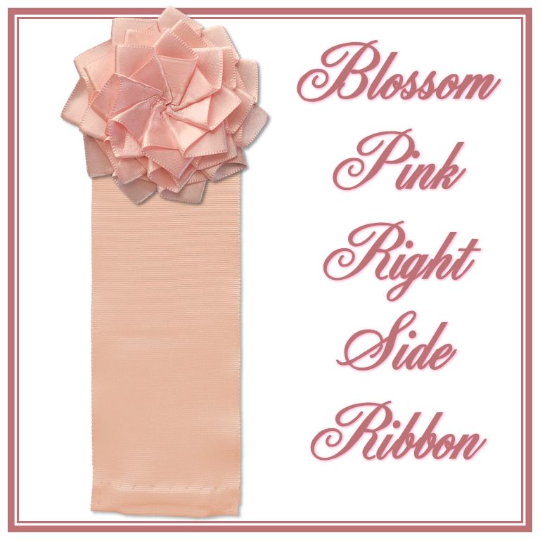 Blossom Pink Right Side Ribbon