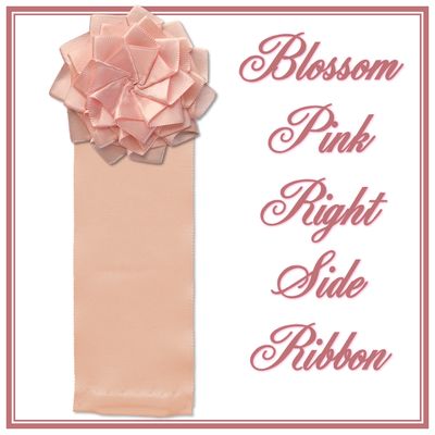 Blossom Pink Right Side Ribbon