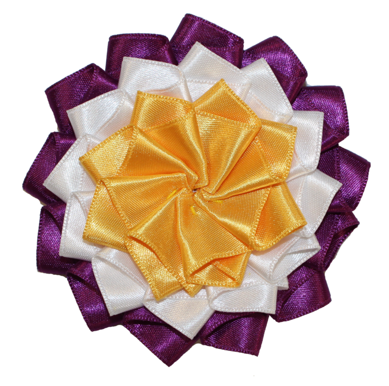American Suffragette Rosette