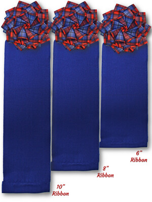 DAR Tartan Right Side Ribbon