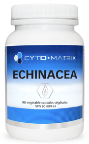 Echinacea by Cyto-Matrix