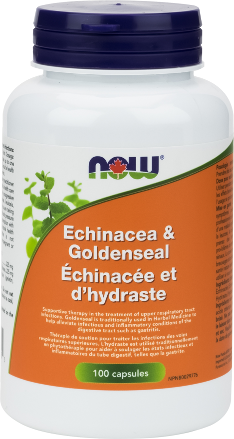 Echinacea & Goldenseal by Now