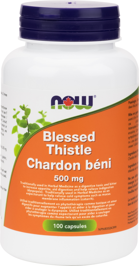 Blessed Thistle by Now