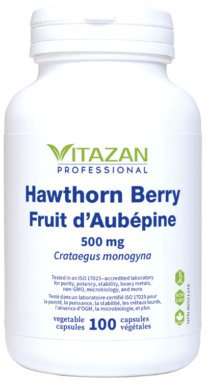 Hawthorn Berry by Vitazan