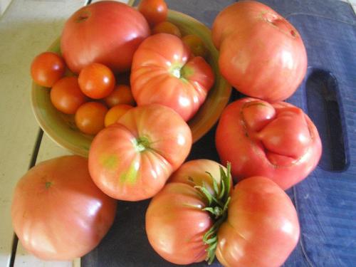Tomate Cherry Orgánico, 250 gramos.