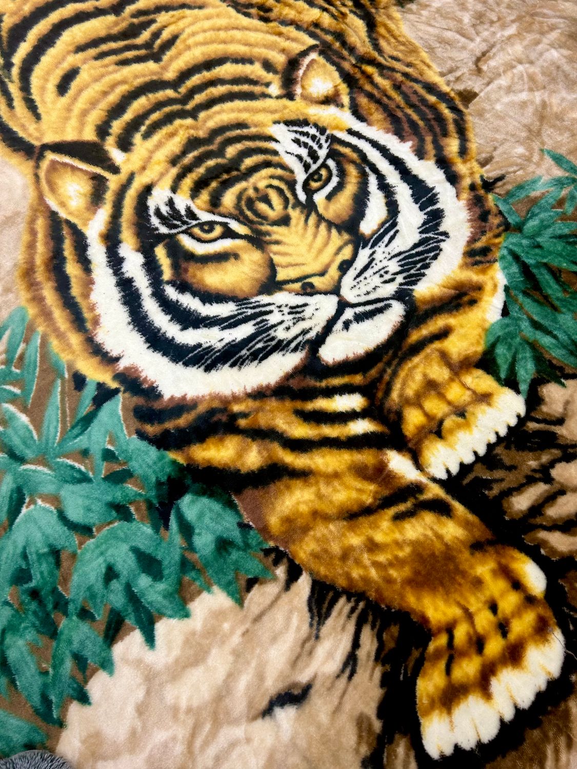 Wild Decor Bengal Tiger Velour Supersoft Blanket Throw Bedspread Rug 80”x 90”