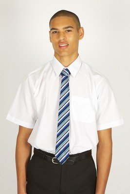 Boy's Shirts - Short Sleeve - (Twin Pack) - St Elizabeth's Catholic Voluntary Academy