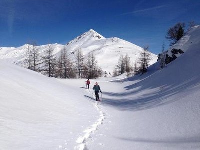 Snowshoe