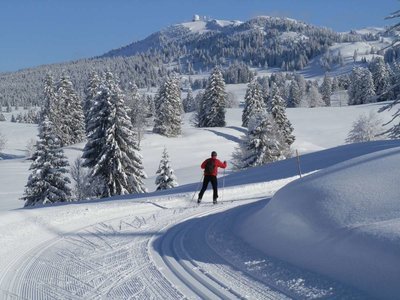 Cross Country Ski