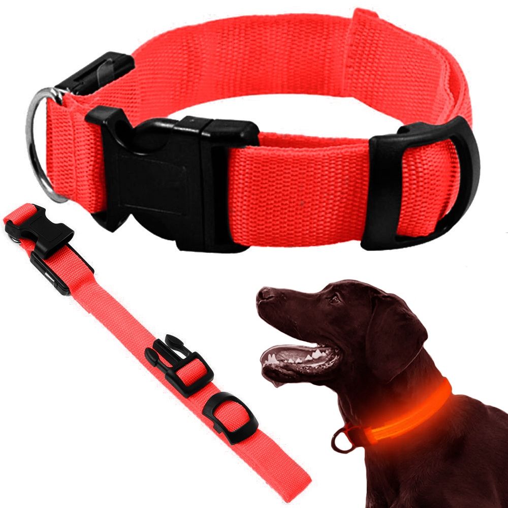 Light up dog collar