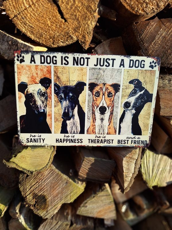Metalen plaatje - a dog is not just a dog