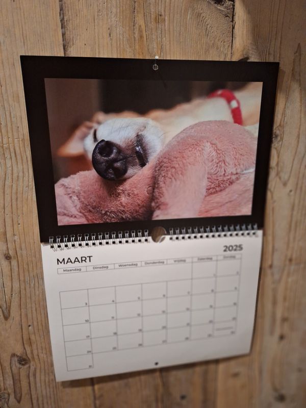 Kalender 2025