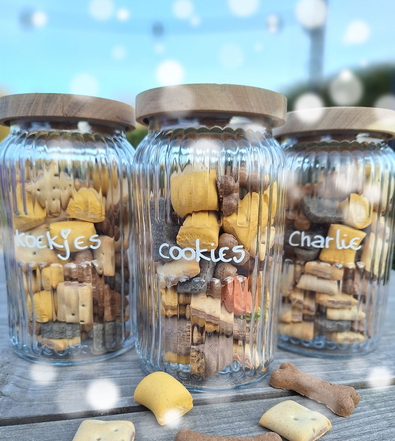 Voorraadpot met hondenkoekjes