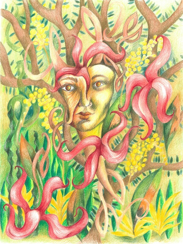 Carte postale &quot;mimosa&quot;