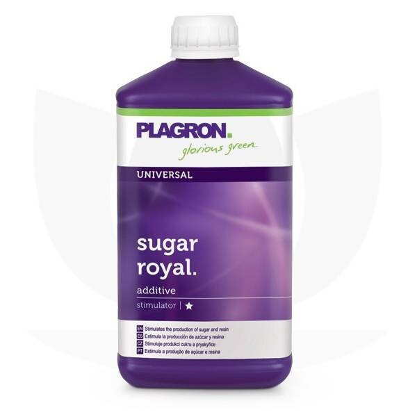 Plagron Sugar Royal