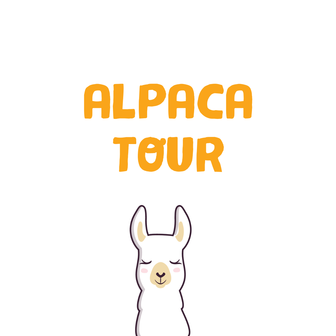 CADEAU - ALPACA TOUR
