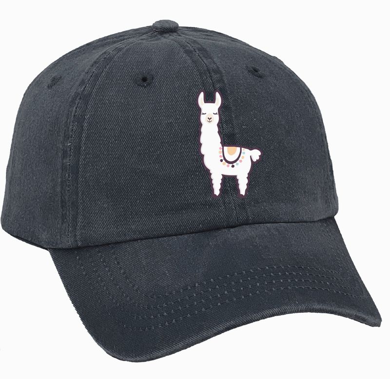 ALPACA VINTAGE CAP WASHED BLACK