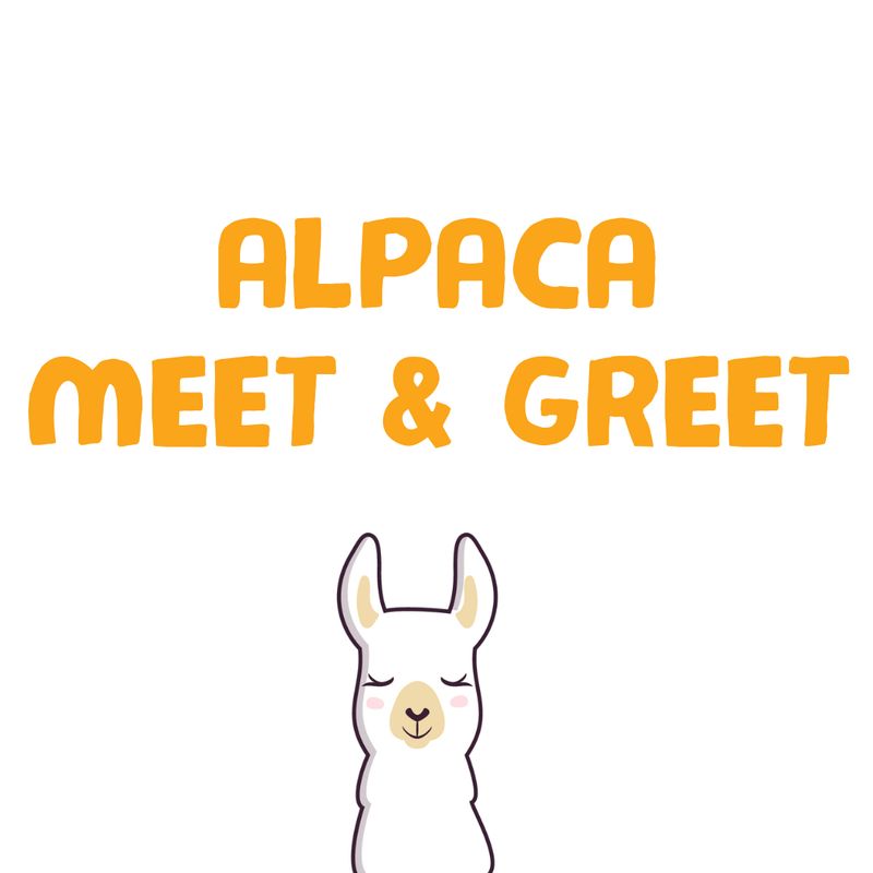 CADEAU - MEET & GREET