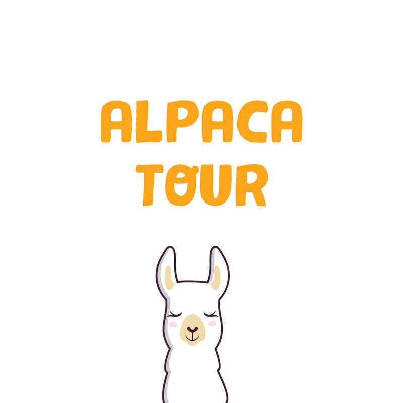 CADEAU - ALPACA TOUR