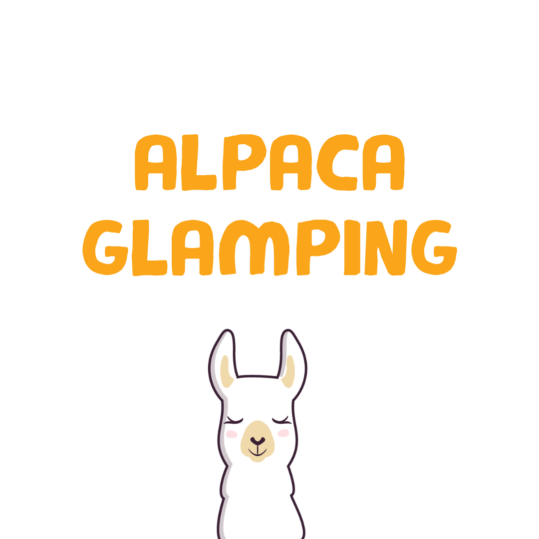 CADEAU - ALPACA GLAMPING CADEAU - ALPACA GLAMPING