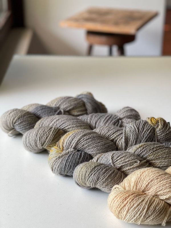 500g Rheingold 2ply 200, mit einem Kontraststrang