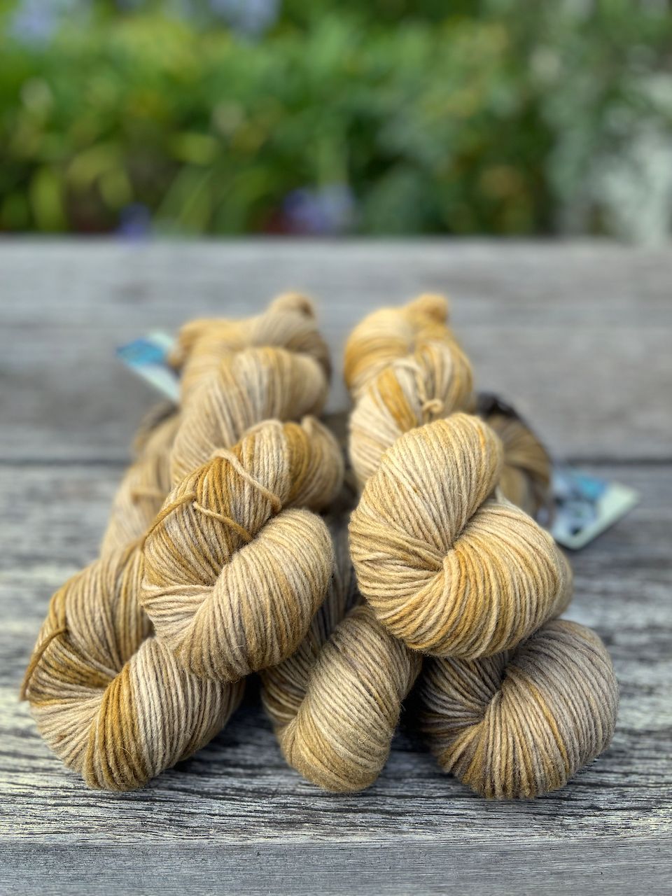 Kaltfärbung Walnuss: 500g Rheingold Single 200