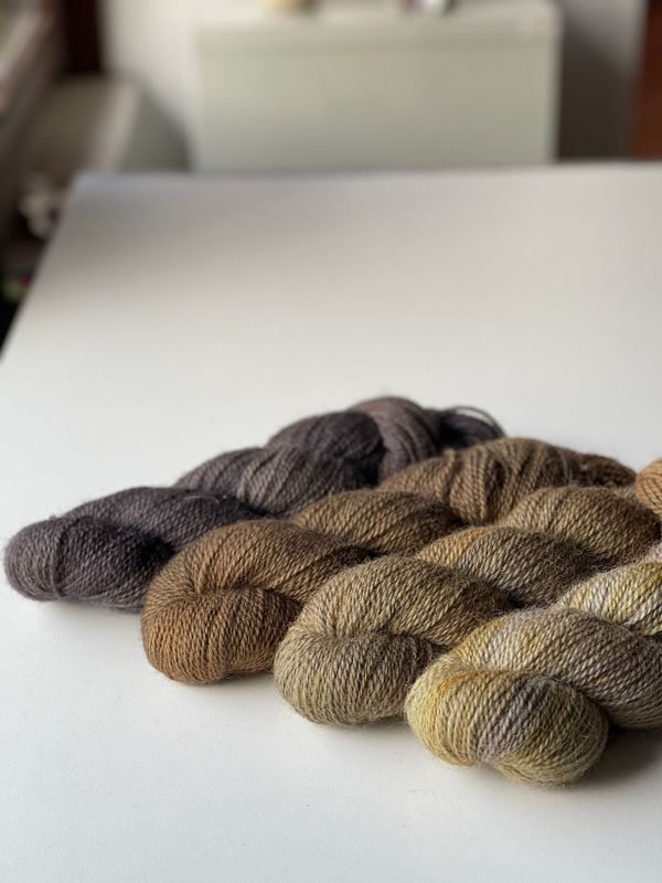 400g Appledore DK, John Arbon, 250m/100g 400g Appledore DK, John Arbon, 250m/100g