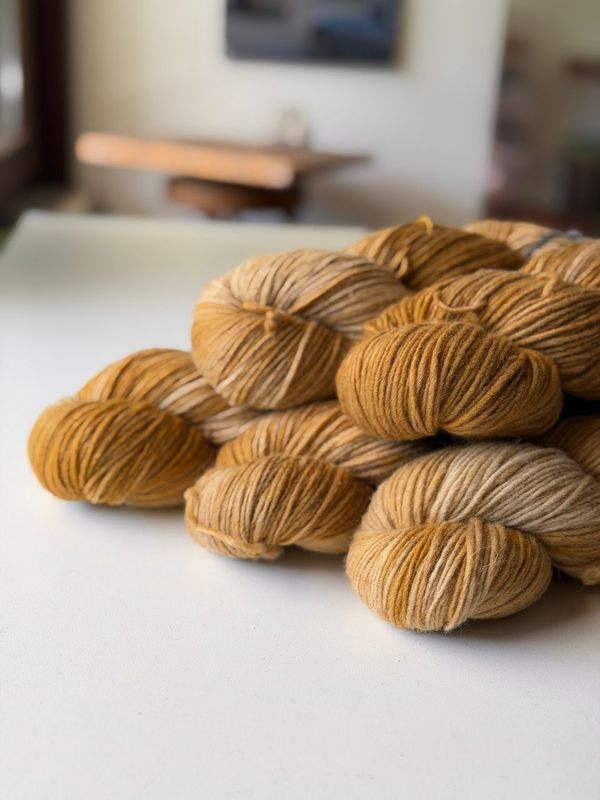das spezial gute Angebot: 500g Rheingold Single 200 das spezial gute Angebot: 500g Rheingold Single 200
