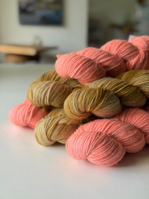 das spezial gute Angebot: 600g Rheingold Single 200 das spezial gute Angebot: 600g Rheingold Single 200