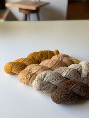 das spezial gute Angebot: 400g Rheingold Single 400