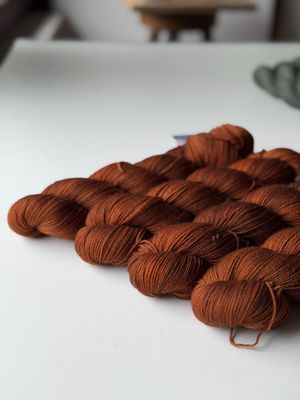 400g Schön Bei Fuß! 400m/100g