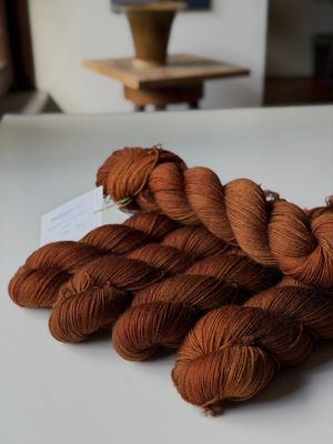 100g, BlauGesicht 400