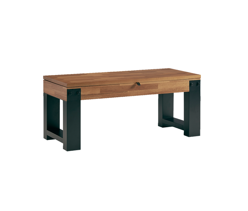 Knoxville Multi-functional Storage Bench
