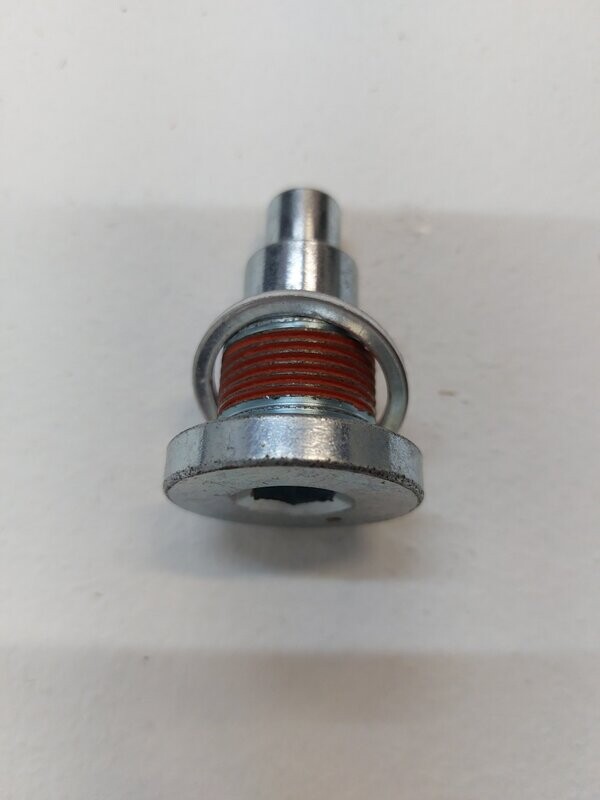 VX220 2.2 Timing chain guide repair bolt